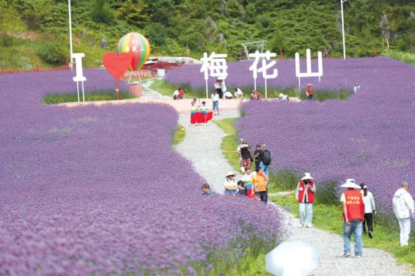 拾贝赢 避暑季之后，更有秋趣处——秋日调色盘