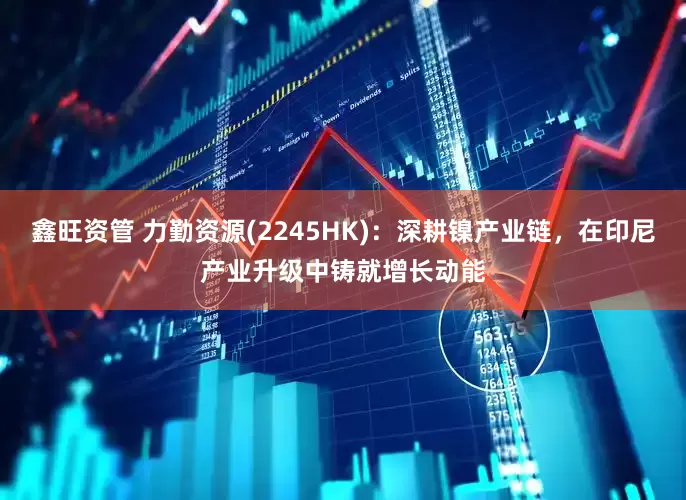 鑫旺资管 力勤资源(2245HK)：深耕镍产业链，在印尼产业升级中铸就增长动能