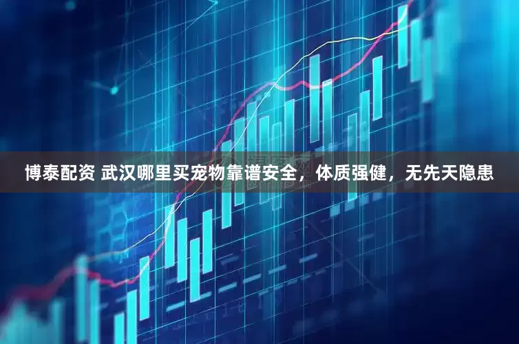 博泰配资 武汉哪里买宠物靠谱安全，体质强健，无先天隐患