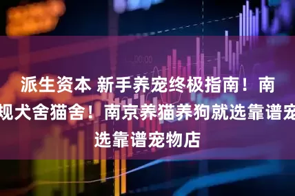 派生资本 新手养宠终极指南！南京正规犬舍猫舍！南京养猫养狗就选靠谱宠物店