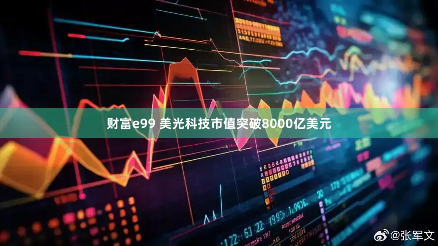 财富e99 美光科技市值突破8000亿美元